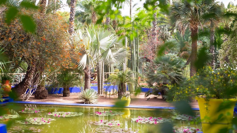 Madison Cox Associates: Stunningly Original Gardens Around The Globe